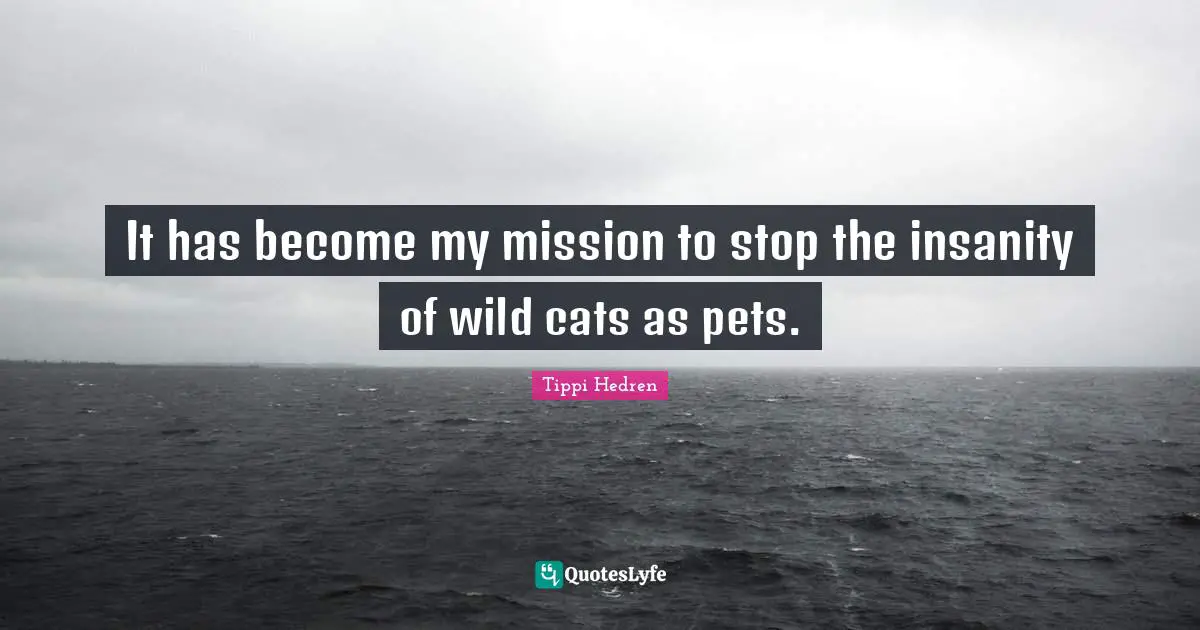 It has become my mission to stop the insanity of wild cats as pets.