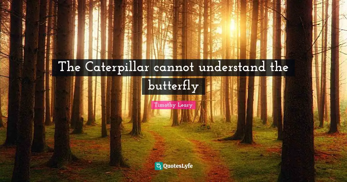 Timothy Leary Quotes: "The Caterpillar cannot understand the butterfly"