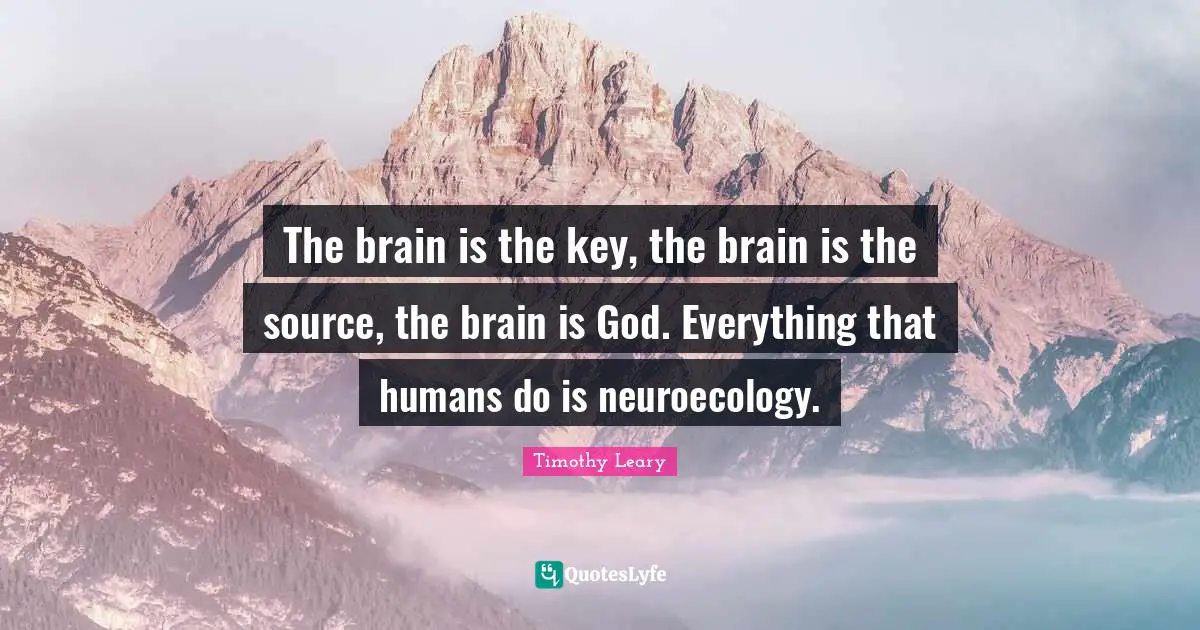 The brain is the key, the brain is the source, the brain is God. Everything that humans do is neuroecology.