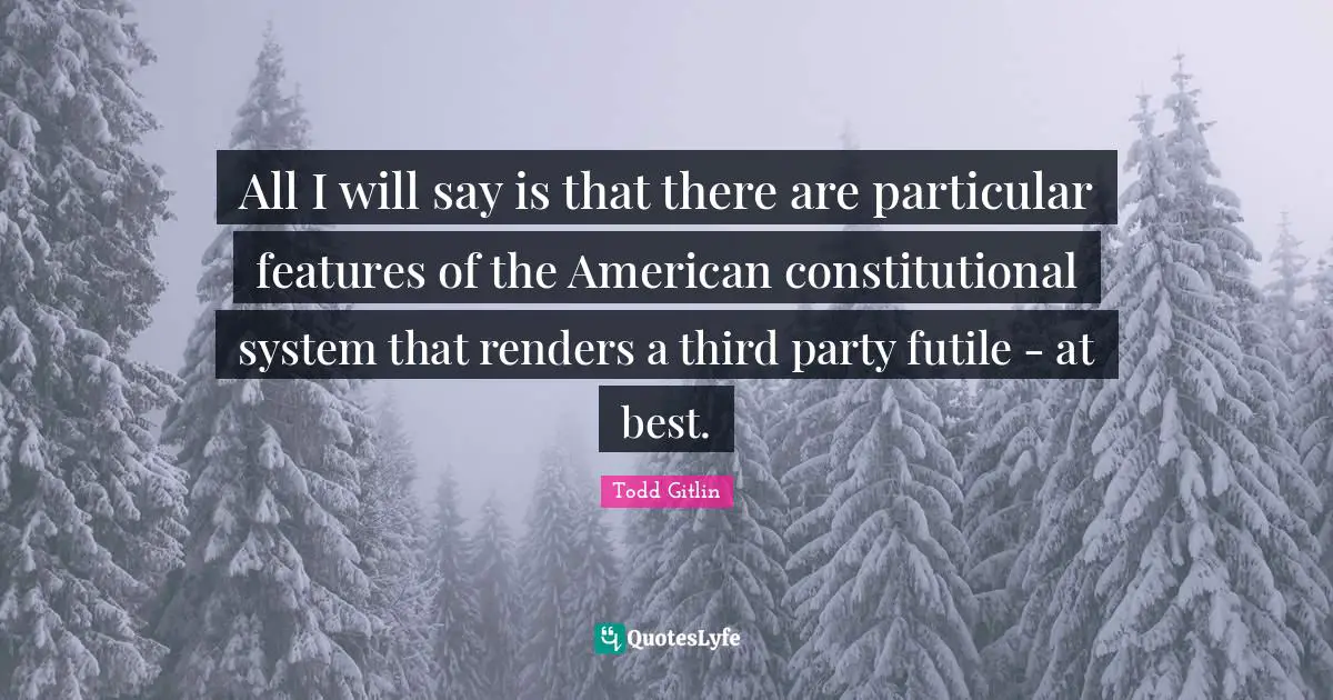 All I will say is that there are particular features of the American constitutional system that renders a third party futile - at best.