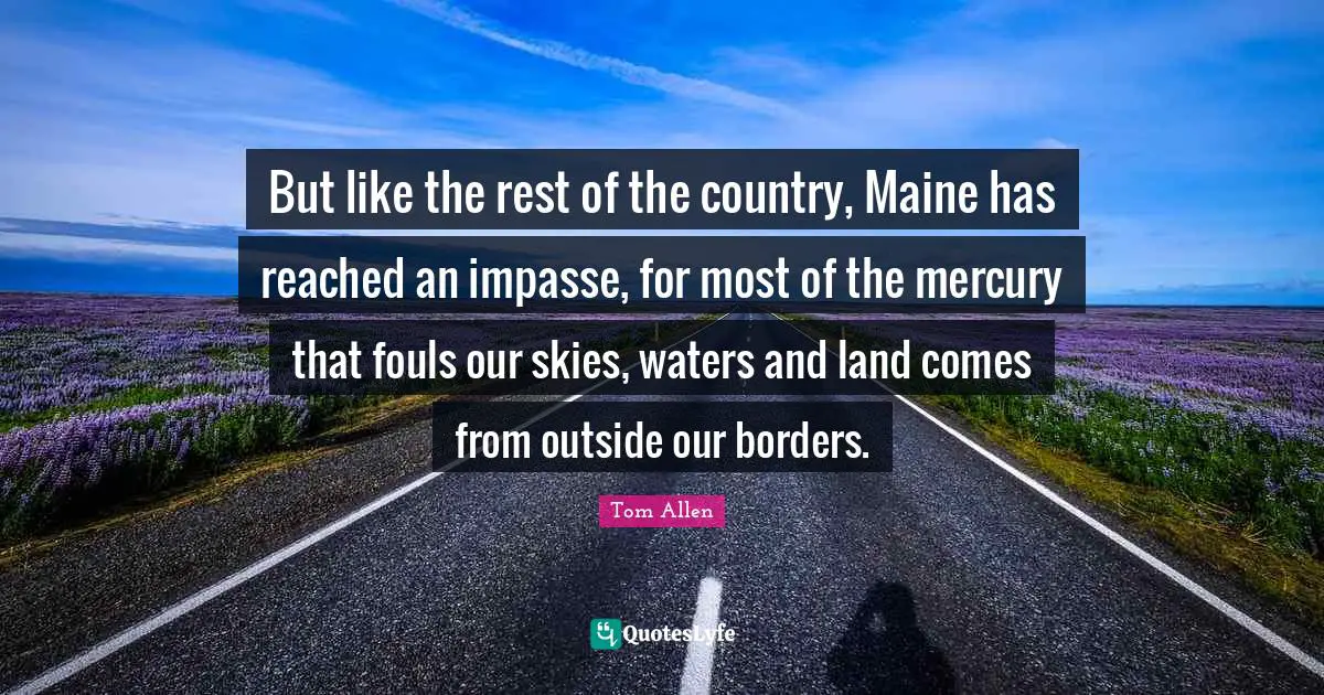 But like the rest of the country, Maine has reached an impasse, for most of the mercury that fouls our skies, waters and land comes from outside our borders.