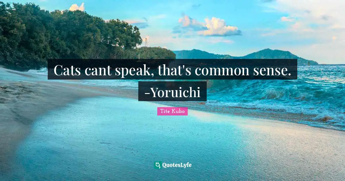 Cats cant speak, that's common sense. -Yoruichi