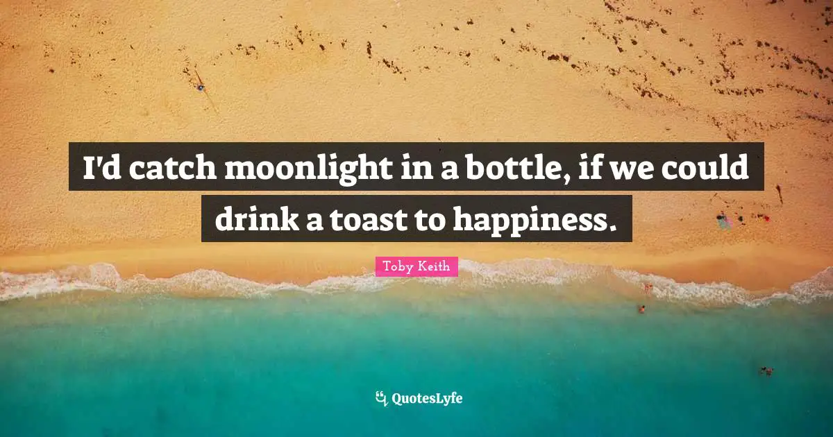 Moonlight Quotes: "I'd catch moonlight in a bottle, if we could drink a toast to happiness."