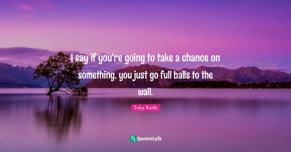 Balls Quotes: "I say if you're going to take a chance on something, you just go full balls to the wall."