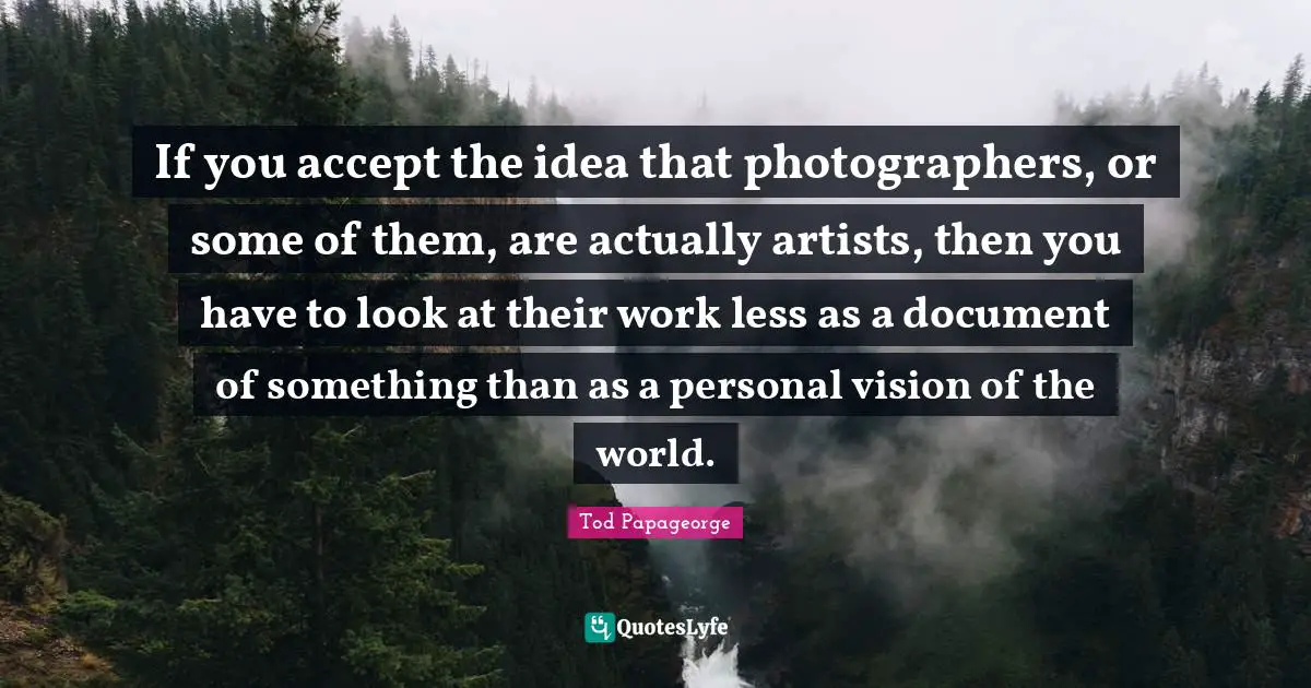 If you accept the idea that photographers, or some of them, are actually artists, then you have to look at their work less as a document of something than as a personal vision of the world.