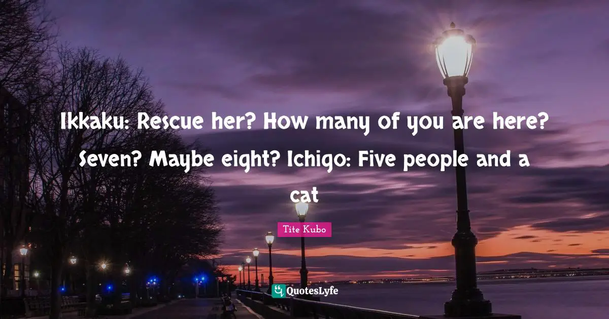 Ikkaku: Rescue her? How many of you are here? Seven? Maybe eight? Ichigo: Five people and a cat
