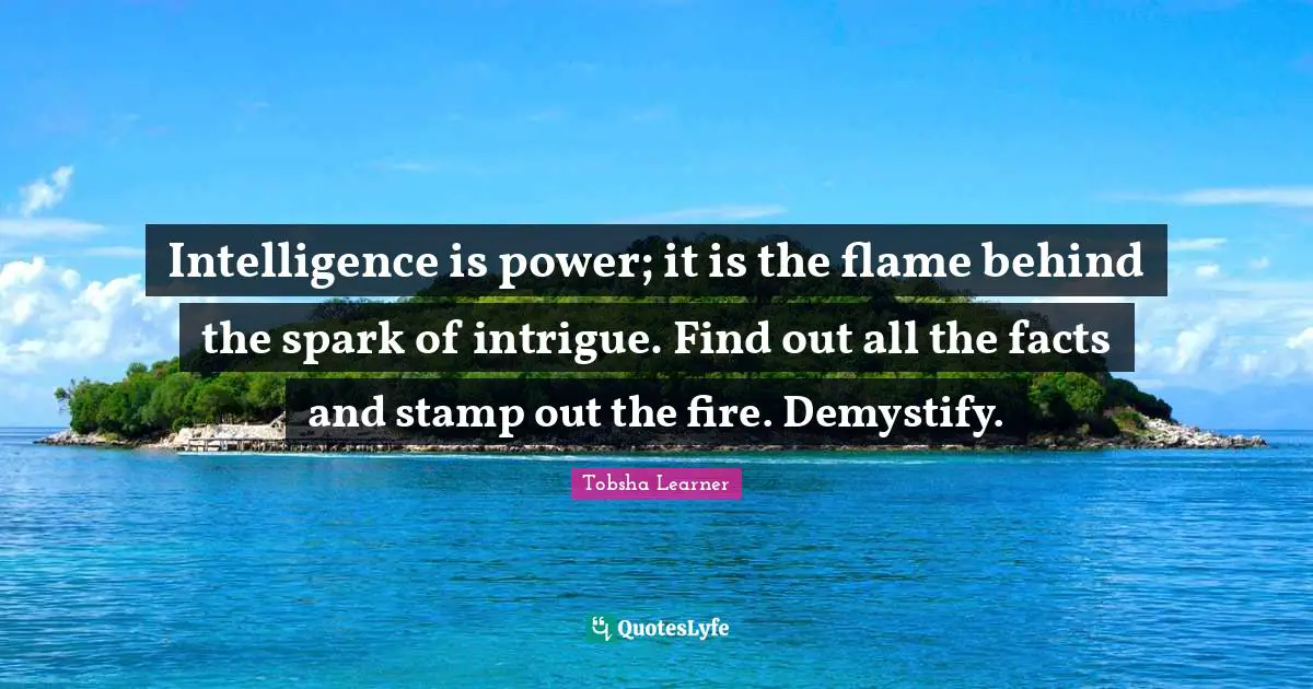 Intelligence is power; it is the flame behind the spark of intrigue. Find out all the facts and stamp out the fire. Demystify.
