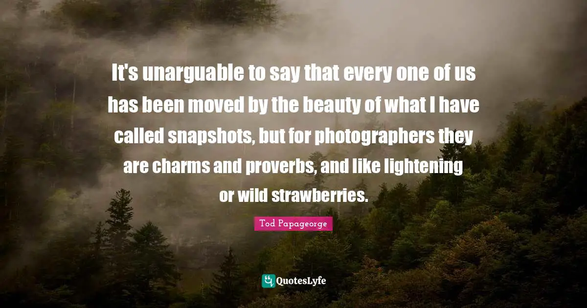 It's unarguable to say that every one of us has been moved by the beauty of what I have called snapshots, but for photographers they are charms and proverbs, and like lightening or wild strawberries.
