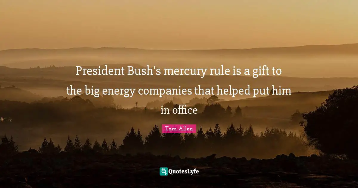 President Bush's mercury rule is a gift to the big energy companies that helped put him in office