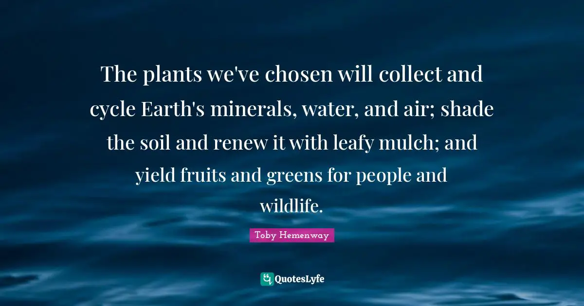 The plants we've chosen will collect and cycle Earth's minerals, water, and air; shade the soil and renew it with leafy mulch; and yield fruits and greens for people and wildlife.