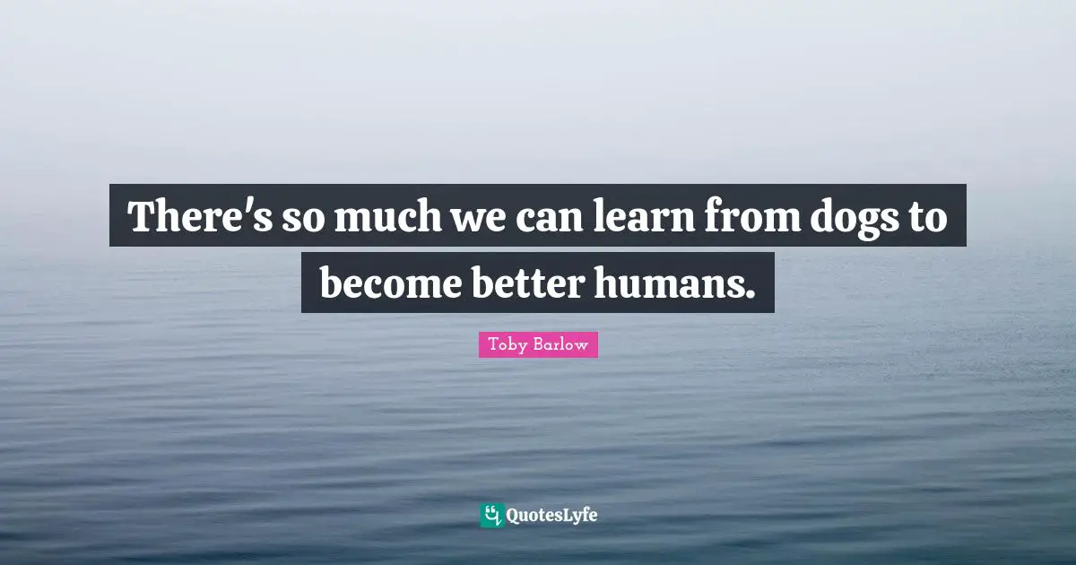 There's so much we can learn from dogs to become better humans.