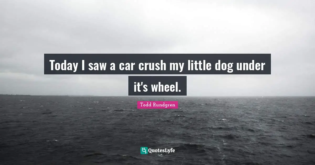 Today I saw a car crush my little dog under it's wheel.