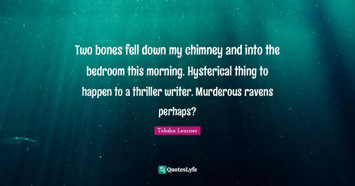 Two bones fell down my chimney and into the bedroom this morning. Hysterical thing to happen to a thriller writer. Murderous ravens perhaps?