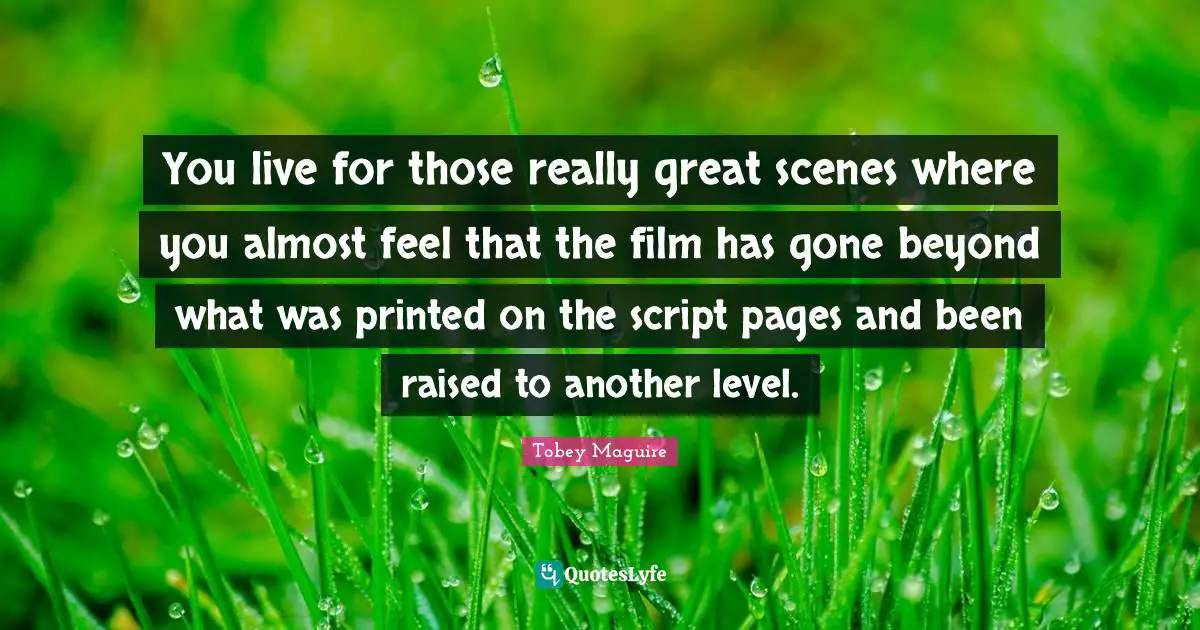 Tobey Maguire Quotes: "You live for those really great scenes where you almost feel that the film has gone beyond what was printed on the script pages and been raised to another level."