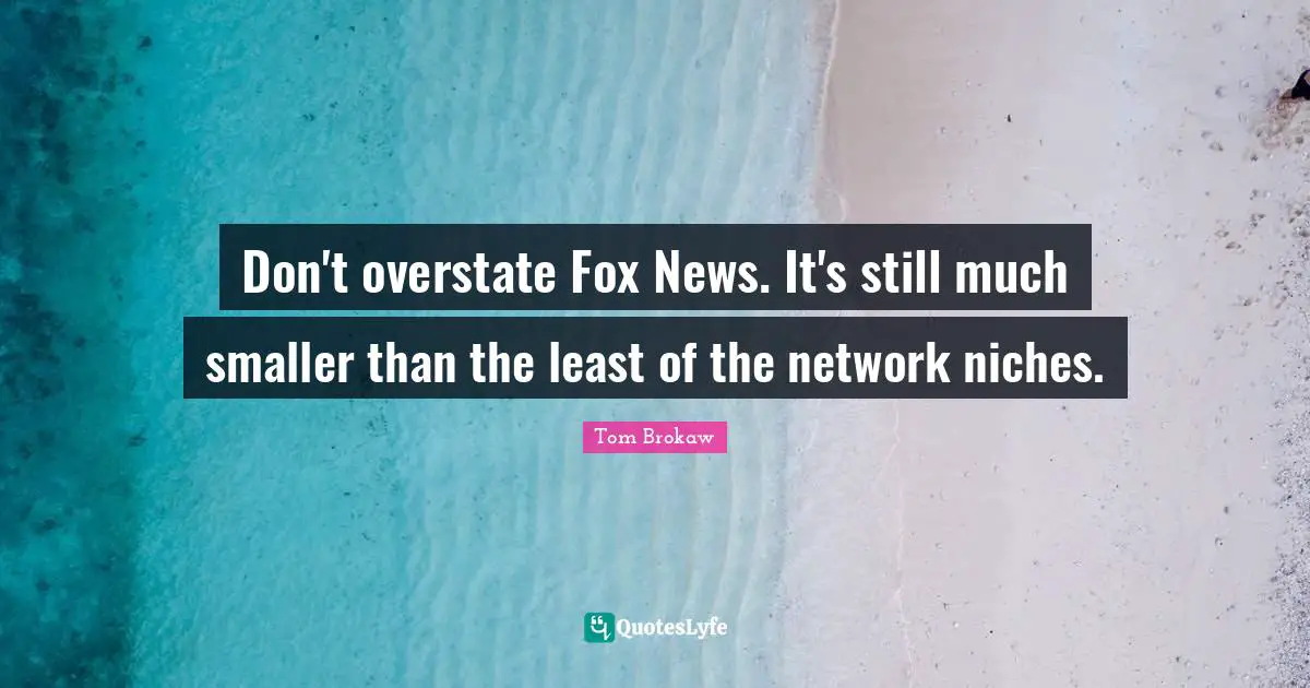 Don't overstate Fox News. It's still much smaller than the least of the network niches.