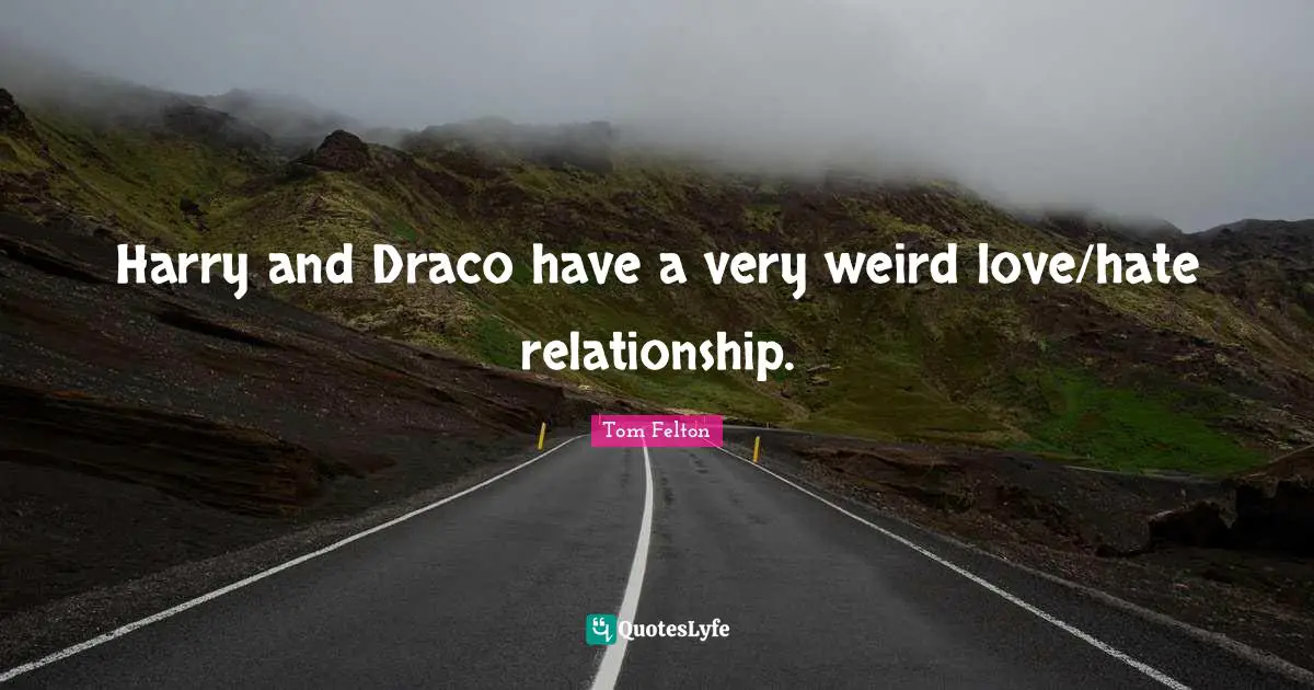 Tom Felton Quotes: Harry and Draco have a very weird love/hate relationship.