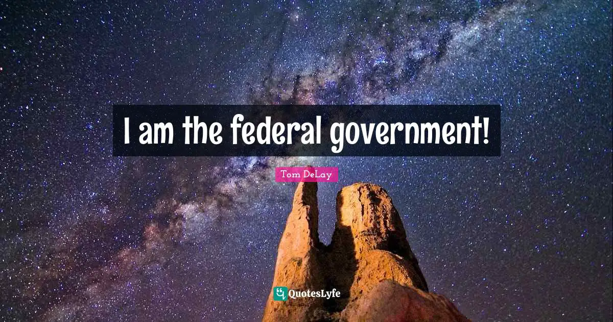 Tom DeLay Quotes: "I am the federal government!"