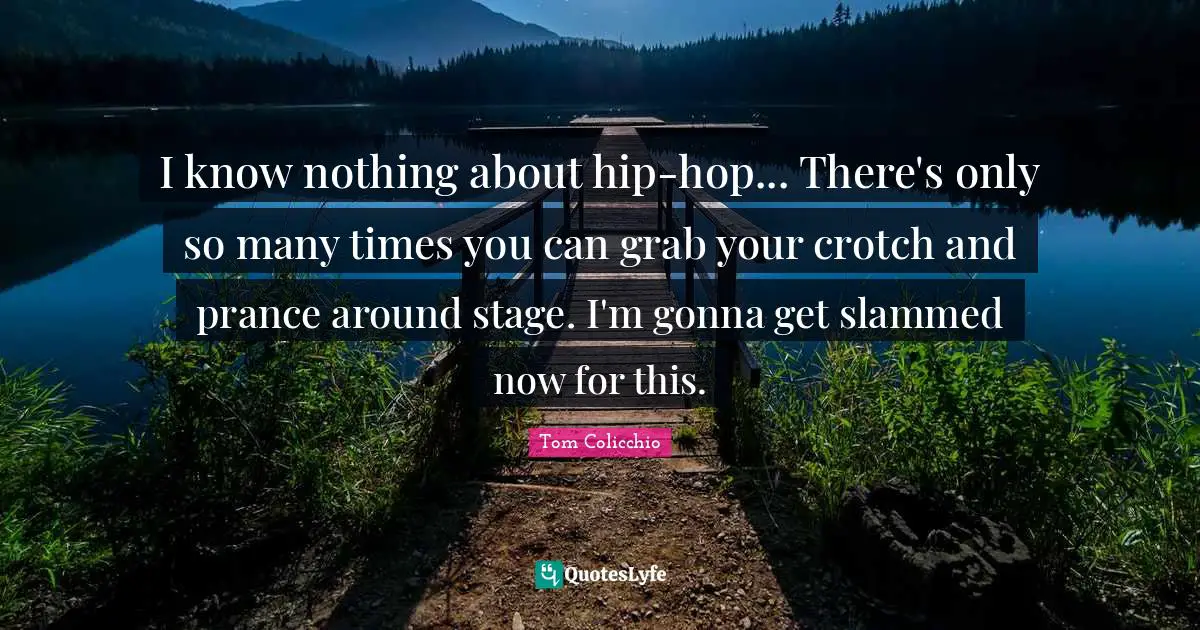 I know nothing about hip-hop... There's only so many times you can grab your crotch and prance around stage. I'm gonna get slammed now for this.