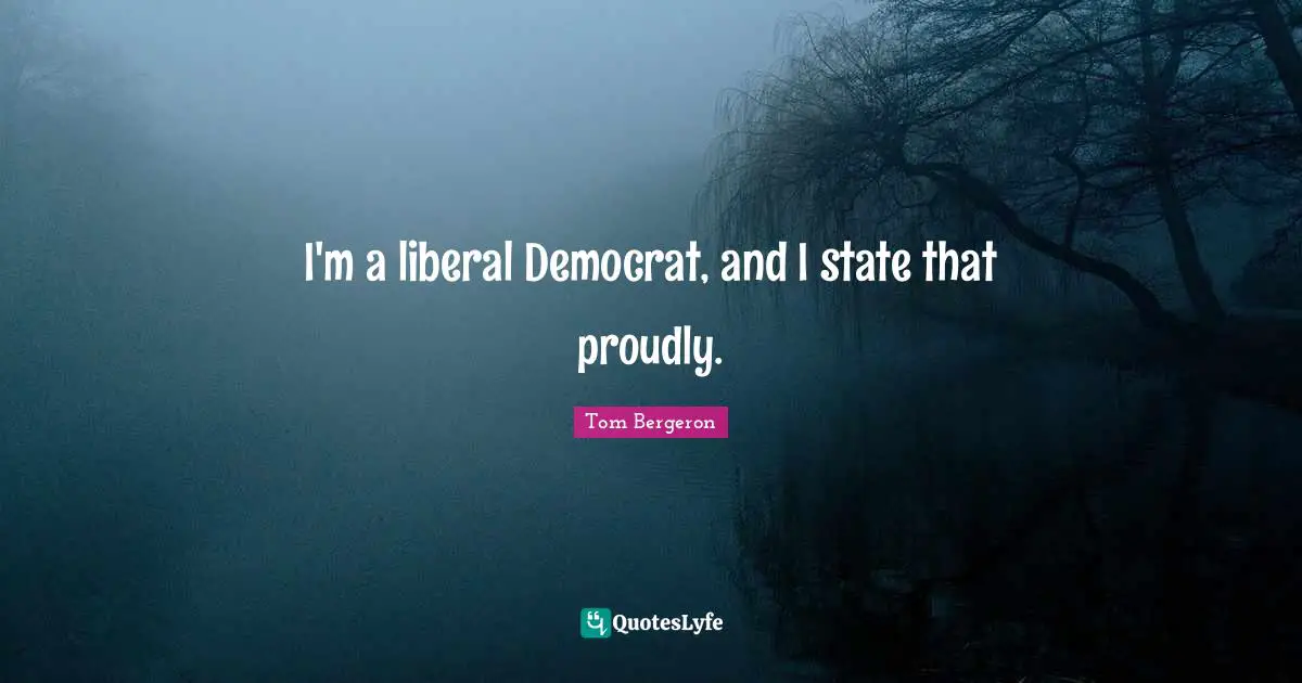 I'm a liberal Democrat, and I state that proudly.