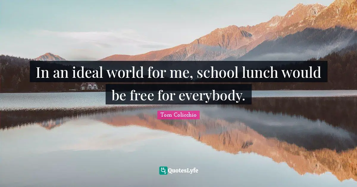 In an ideal world for me, school lunch would be free for everybody.