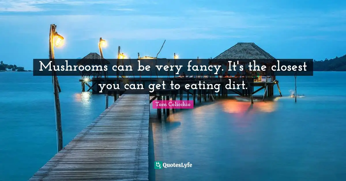 Mushrooms can be very fancy. It's the closest you can get to eating dirt.