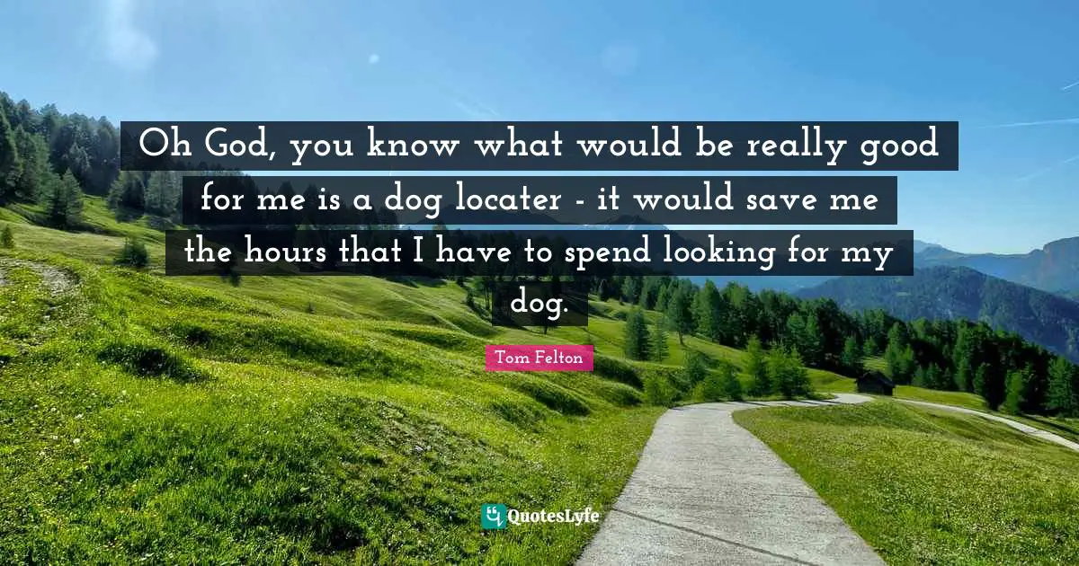 Oh God, you know what would be really good for me is a dog locater - it would save me the hours that I have to spend looking for my dog.