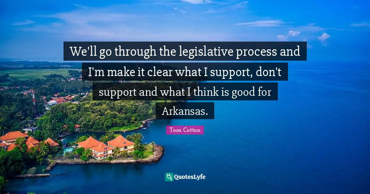 Arkansas Quotes: "We'll go through the legislative process and I'm make it clear what I support, don't support and what I think is good for Arkansas."