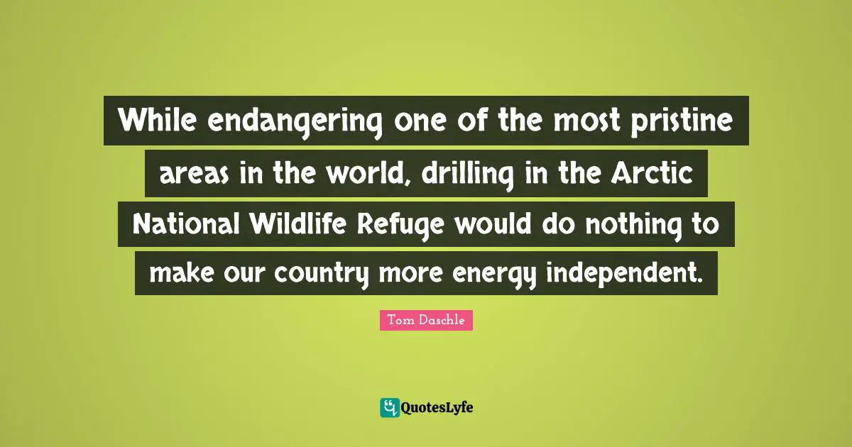 While endangering one of the most pristine areas in the world, drilling in the Arctic National Wildlife Refuge would do nothing to make our country more energy independent.