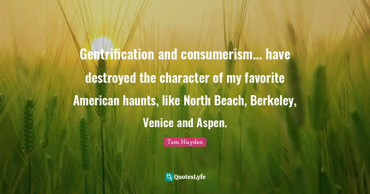 Tom Hayden Quotes: "Gentrification and consumerism... have destroyed the character of my favorite American haunts, like North Beach, Berkeley, Venice and Aspen."