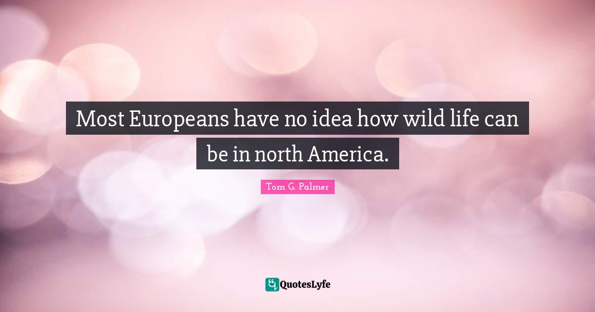 Most Europeans have no idea how wild life can be in north America.