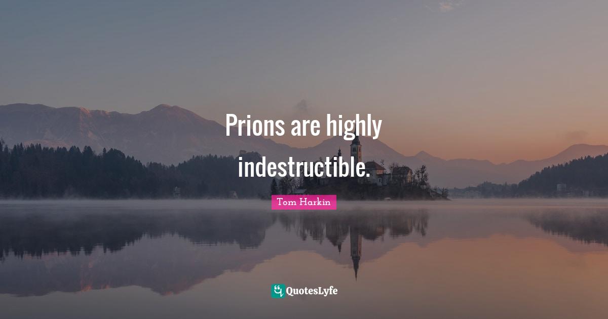 Tom Harkin Quotes: "Prions are highly indestructible."