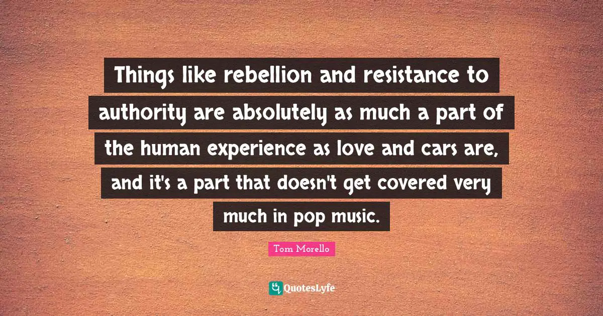 Things like rebellion and resistance to authority are absolutely as much a part of the human experience as love and cars are, and it's a part that doesn't get covered very much in pop music.