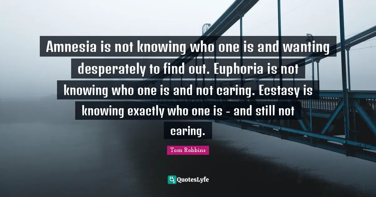 Amnesia Quotes: "Amnesia is not knowing who one is and wanting desperately to find out. Euphoria is not knowing who one is and not caring. Ecstasy is knowing exactly who one is - and still not caring."