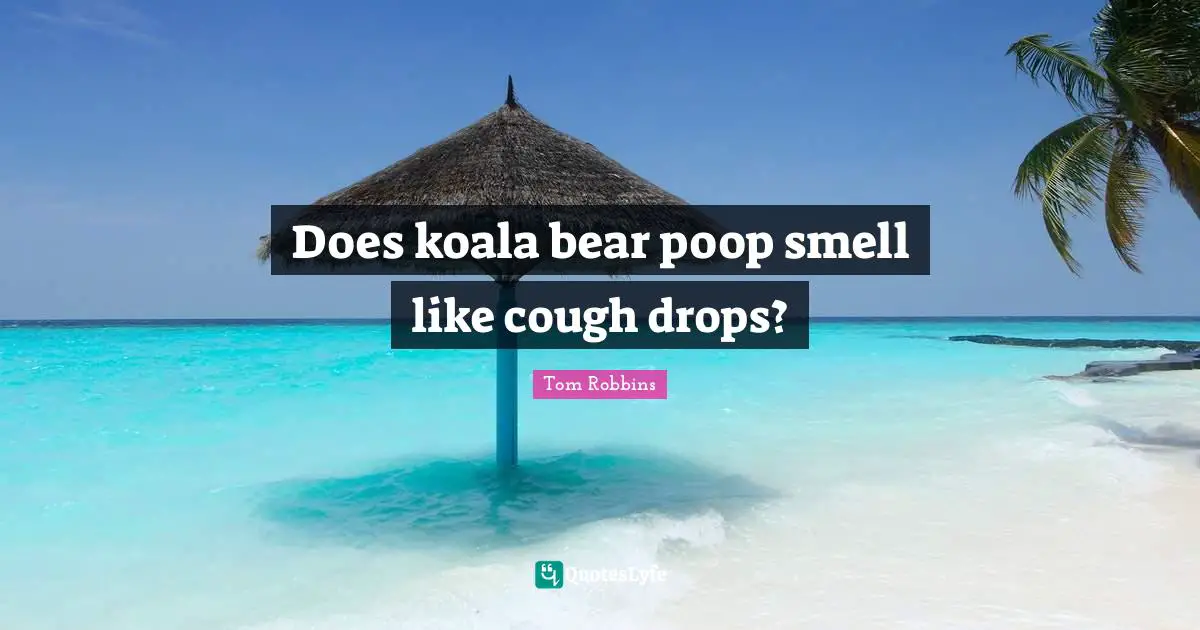 Tom Robbins Quotes: "Does koala bear poop smell like cough drops?"
