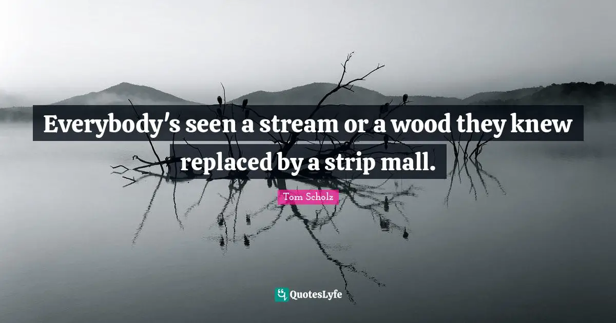Everybody's seen a stream or a wood they knew replaced by a strip mall.