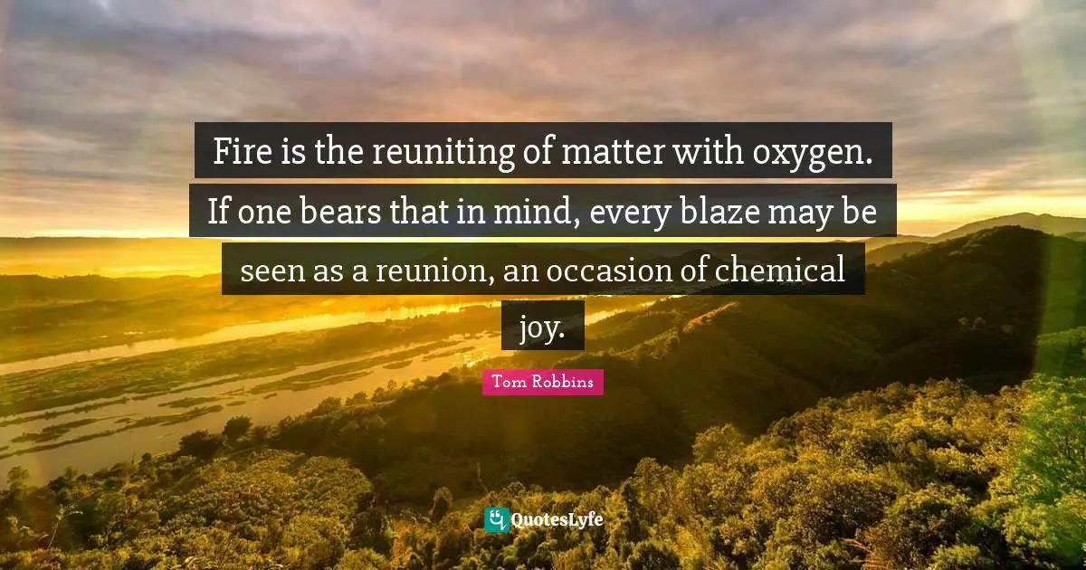 Fire is the reuniting of matter with oxygen. If one bears that in mind, every blaze may be seen as a reunion, an occasion of chemical joy.