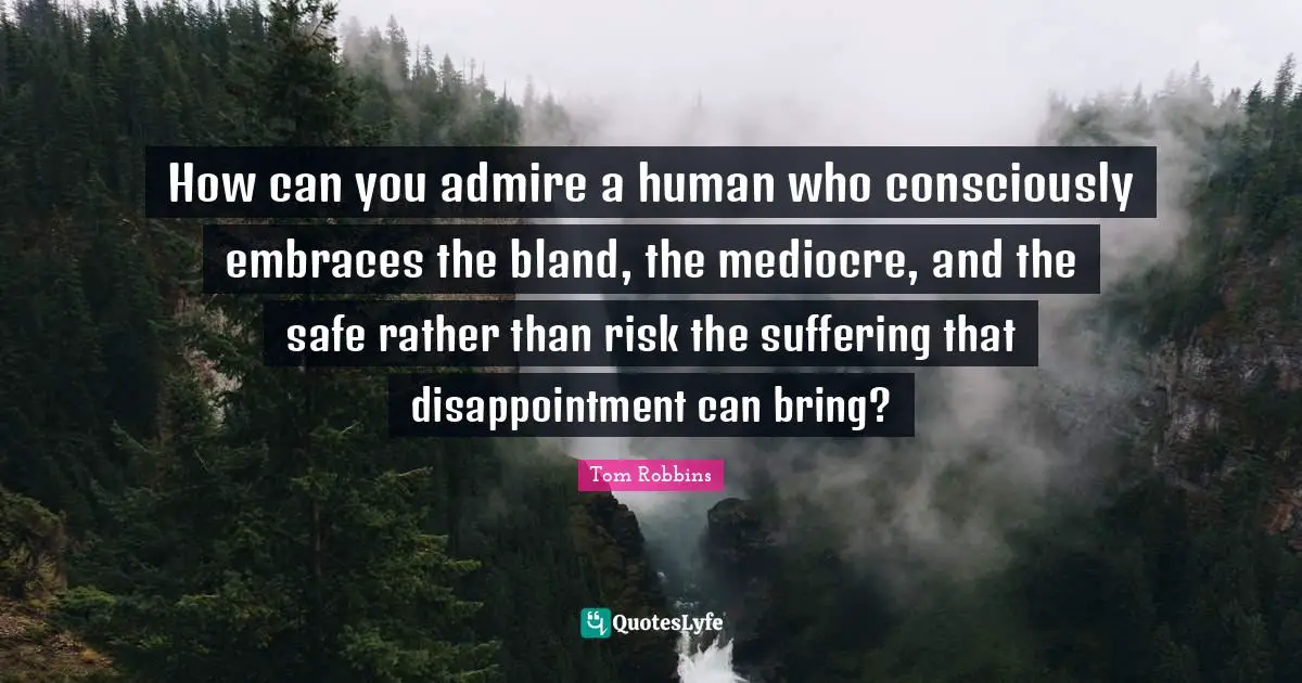 How can you admire a human who consciously embraces the bland, the mediocre, and the safe rather than risk the suffering that disappointment can bring?