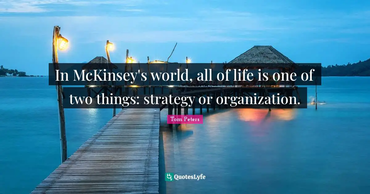 In McKinsey's world, all of life is one of two things: strategy or organization.