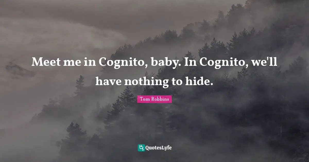 Meet me in Cognito, baby. In Cognito, we'll have nothing to hide.