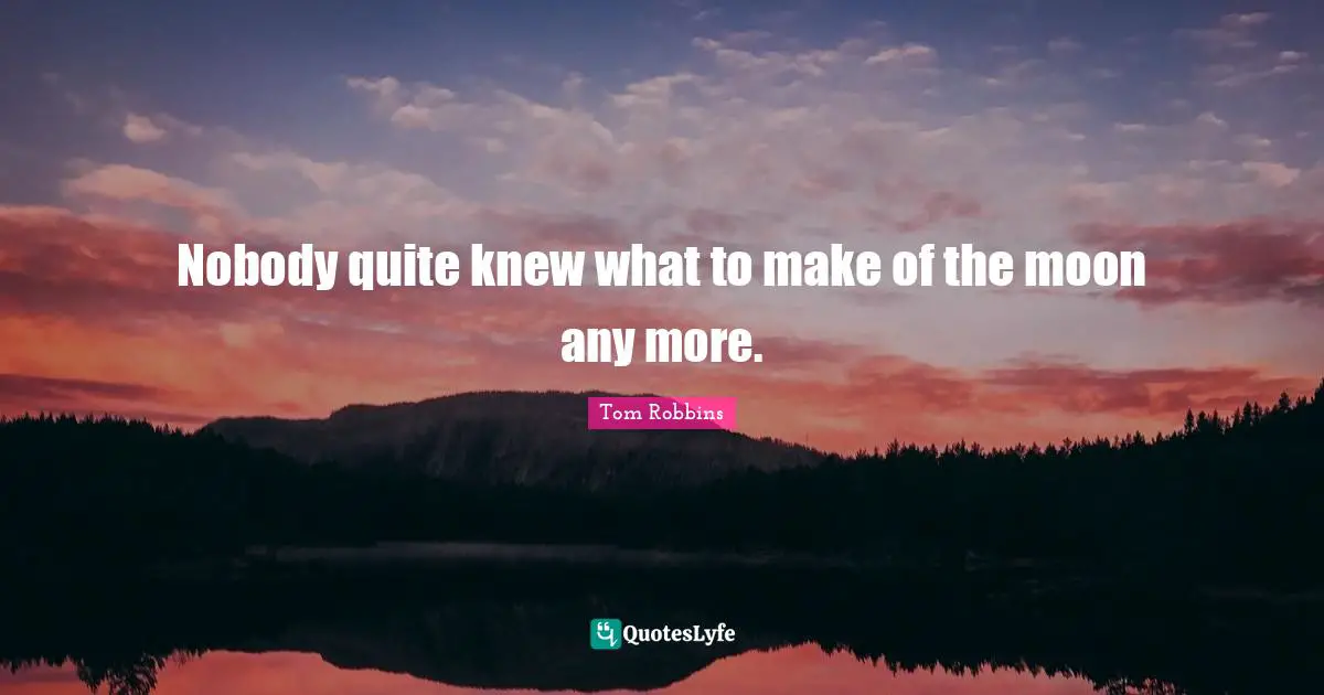 Nobody quite knew what to make of the moon any more.