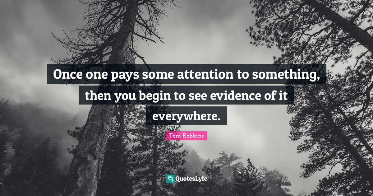 Once one pays some attention to something, then you begin to see evidence of it everywhere.