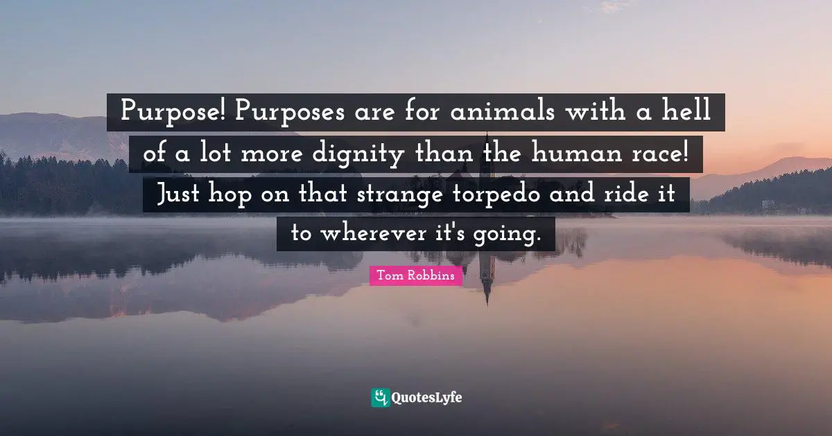 Purpose! Purposes are for animals with a hell of a lot more dignity than the human race! Just hop on that strange torpedo and ride it to wherever it's going.