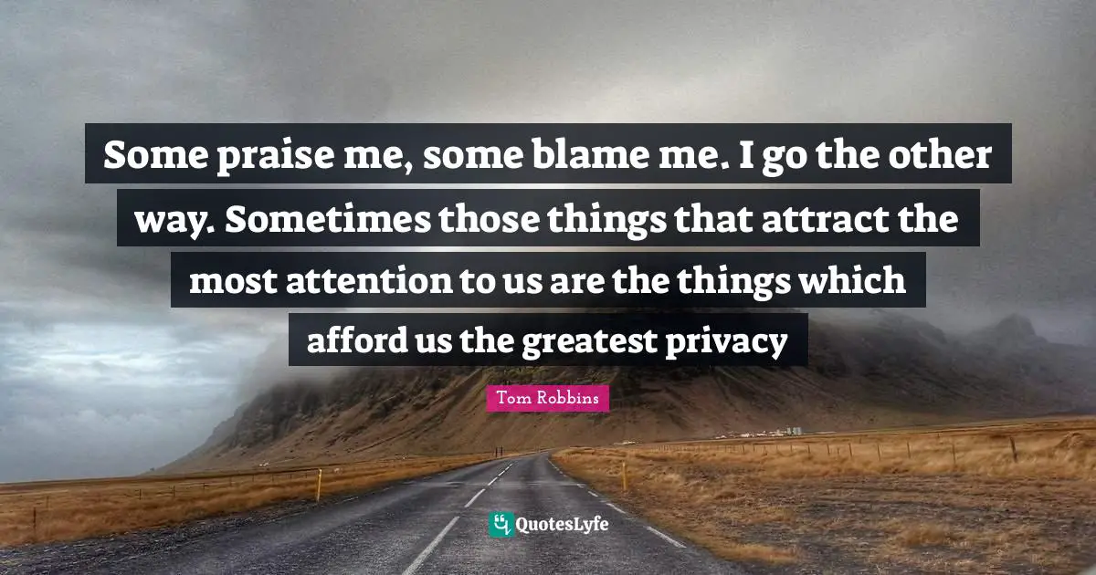 Some praise me, some blame me. I go the other way. Sometimes those things that attract the most attention to us are the things which afford us the greatest privacy
