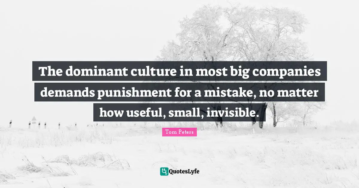 The dominant culture in most big companies demands punishment for a mistake, no matter how useful, small, invisible.