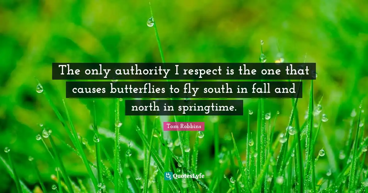 Tom Robbins Quotes: "The only authority I respect is the one that causes butterflies to fly south in fall and north in springtime."