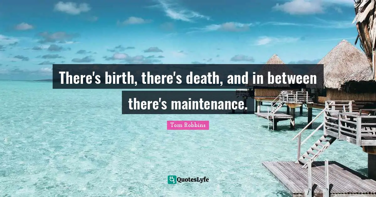 There's birth, there's death, and in between there's maintenance.