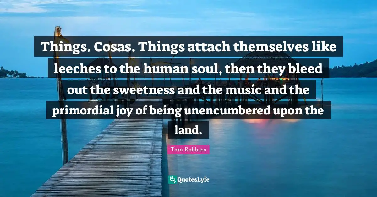 Things. Cosas. Things attach themselves like leeches to the human soul, then they bleed out the sweetness and the music and the primordial joy of being unencumbered upon the land.