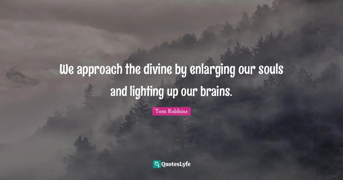 We approach the divine by enlarging our souls and lighting up our brains.