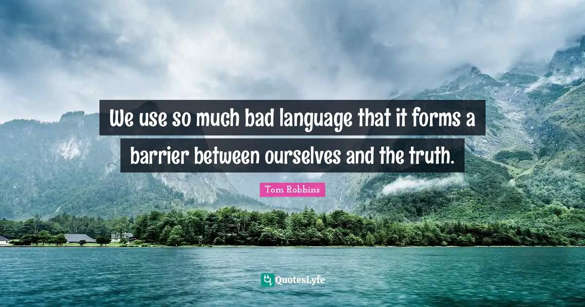 We use so much bad language that it forms a barrier between ourselves and the truth.