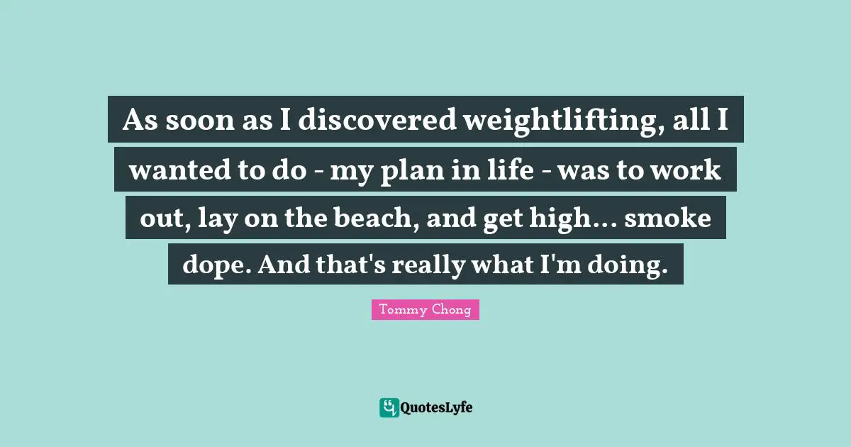 As soon as I discovered weightlifting, all I wanted to do - my plan in life - was to work out, lay on the beach, and get high... smoke dope. And that's really what I'm doing.
